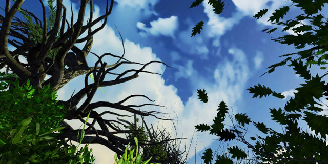 eric filion nokami solastalgia