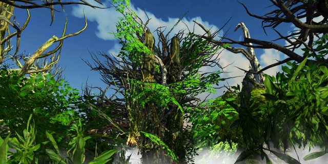 eric filion nokami solastalgia