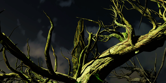 eric filion nokami solastalgia