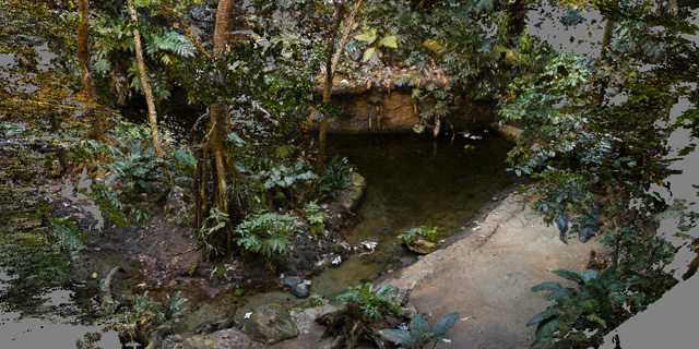 eric filion nokami solastalgia