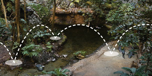 eric filion nokami solastalgia