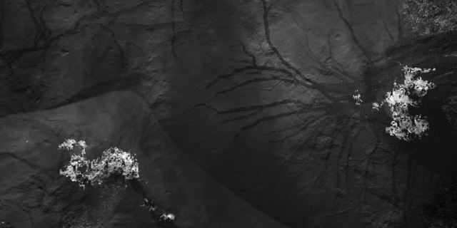 eric filion nokami Spectral Sound System